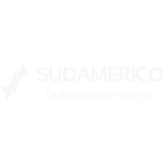 Partner 4